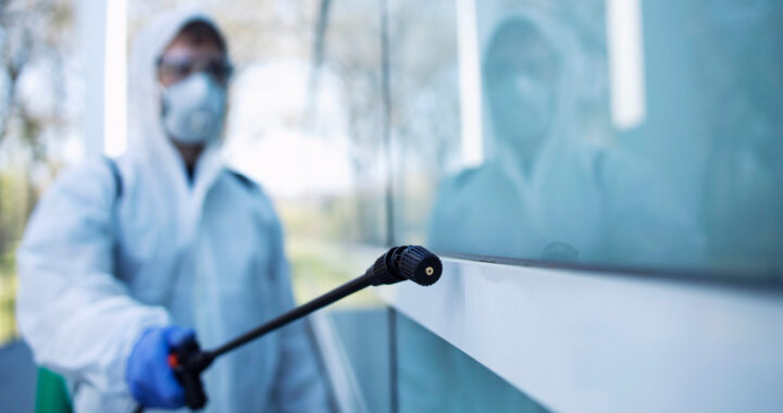 Skuteczne zwalczanie szkodników w Warszawie